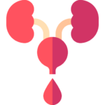 Urinary Incontinence