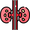 Kidney Stones